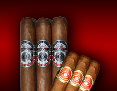 Cigar