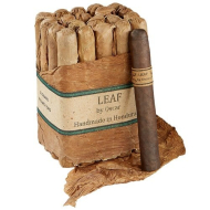 Leaf by Oscar Toro Bundle